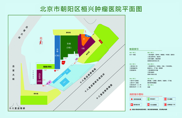 鸡吧靠逼在线北京市朝阳区桓兴肿瘤医院平面图